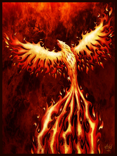 Cartoon: Phoenix (medium) by Mikl tagged michael,mikl,olivier,miklart,illustration,tattoo,phoenix,phenix,fire