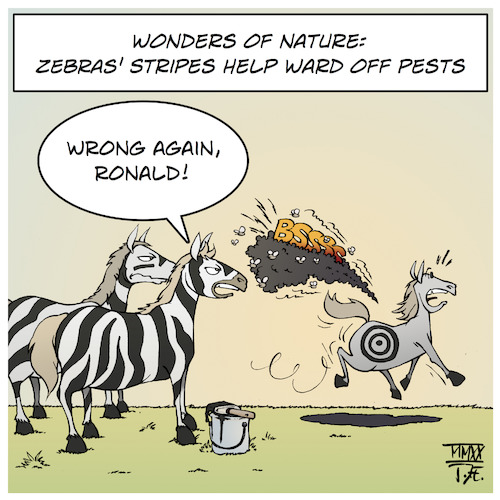 Cartoon: Bugs and Stripes (medium) by Timo Essner tagged nature,biology,horses,zebras,stripes,insects,bugs,pests,ward,protection,mosquitoes,horsefly,horseflies,botfly,botflies,camouflage,cartoon,timo,essner,nature,biology,horses,zebras,stripes,insects,bugs,pests,ward,protection,mosquitoes,horsefly,horseflies,botfly,botflies,camouflage,cartoon,timo,essner