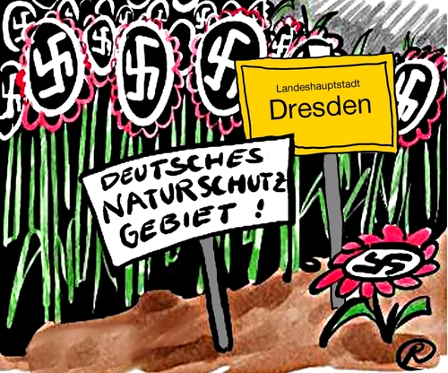 Cartoon: Politische Bewegungen in Dresden (medium) by Ralf Conrad tagged pegida,dresden,rechtsnational