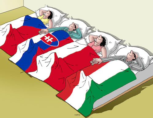 Cartoon: v4postel (medium) by Lubomir Kotrha tagged v4,slovakia,czech,republic,poland,hungary,v4,slovakia,czech,republic,poland,hungary