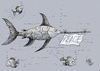 Cartoon: peace (small) by kotbas tagged fish,peace,goodwill,sea,swordfish,animals