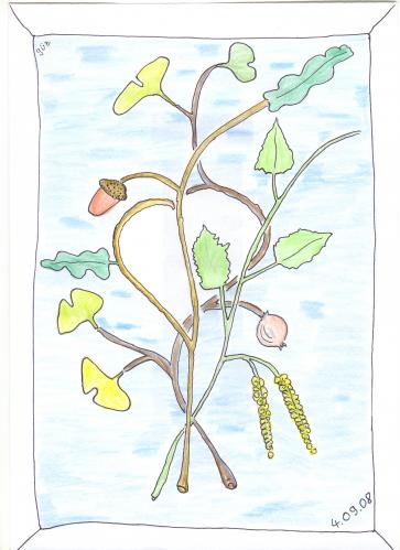 Cartoon: Liebe Natur (medium) by skätsch-up tagged birke,eiche,baum,ginko,pflanze