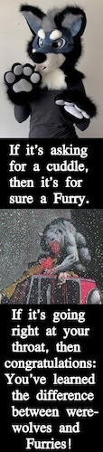 Cartoon: Difference Between Furries ... (medium) by Schimmelpelz-pilz tagged meme,werewolf,werewolves,furry,furries,difference,cuddle,eat,eating,hunt,hunting,killing