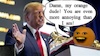 Cartoon: President Annoying Orange (small) by Schimmelpelz-pilz tagged meme,donald,trump,orange,annoying,president,usa,united,states,of,america,criminal,freak,right,winged,neonazi,nazi,fruit,fruity