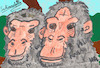 Cartoon: Schimpansenpaar - Chimp Pair (small) by Schimmelpelz-pilz tagged affe,affen,schimpanse,schimpansen,menschenaffe,menschenaffen,paar,pärchen,pair,ape,apes,monkey,chimp,chimps