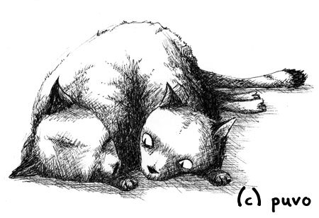 Cartoon: Siamesische Katzen. (medium) by puvo tagged siam,siamese,siamesich,katze,cat