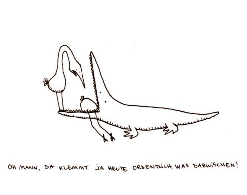 Cartoon: Was dazwischen. (medium) by puvo tagged krokodil,alligator,putzervogel,crocodile,
