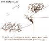 Cartoon: Drecksackschönwettertouristen 2 (small) by puvo tagged zugvogel,migrant,bird,duck,ente,frühling,spring,schwalbe,swallow,nest