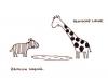 Cartoon: Komische Lache. (small) by puvo tagged zebra,giraffe,lache,wortspiel