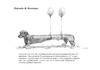 Cartoon: Dem Dackel... (small) by Jori Niggemeyer tagged dackel,hund,luftballon,zucht,rasse,rassemerkmale,dackellähme,sinnfreiheit,von,züchtungen,niggemeyer,joricartoon,cartoon