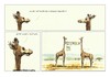 Cartoon: Es reicht... (small) by Jori Niggemeyer tagged giraffe,afrika,wäsche,wäscheleine,peinlich,landschaft,niggemeyer,joricartoon,cartoon