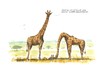 Cartoon: Schatzi... (small) by Jori Niggemeyer tagged safari,giraffe,afrika,tiere,fürsorge,angst,vorsicht,verstecken,schutz,niggemeyer,joricartoon,cartoon