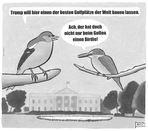 Cartoon: Trumps Golfpläne (medium) by BAES tagged golf,birdie,vogel,golfplatz,washington,amerika,usa,trump,präsident,weißeshaus,golf,birdie,vogel,golfplatz,washington,amerika,usa,trump,präsident,weißeshaus