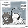 Cartoon: Katzenmusik (small) by BAES tagged cat,stevens,katzen,musik