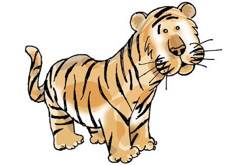 Cartoon: tiger (medium) by omer cam tagged tiger