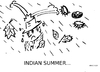Cartoon: Indian Summer (small) by KRI-SE tagged oktober,herbst,indiansummer,jahreszeiten,wetter,mistwetter
