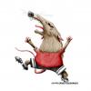 Cartoon: goal ! (small) by ernesto guerrero tagged animals,sports,nature