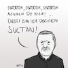 Cartoon: Sultan Erdogan (small) by INovumI tagged erdogan,diktator,sultan,nazi