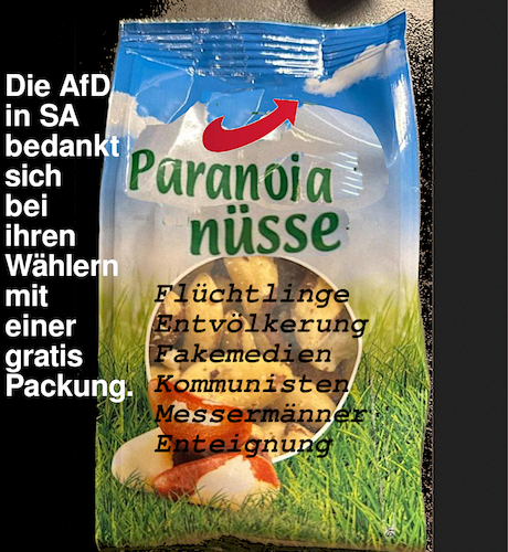 Cartoon: dankeschön (medium) by ab tagged deutschland,sachsen,anhalt,wahlen,afd,partei,nüsse,wahn,wähler