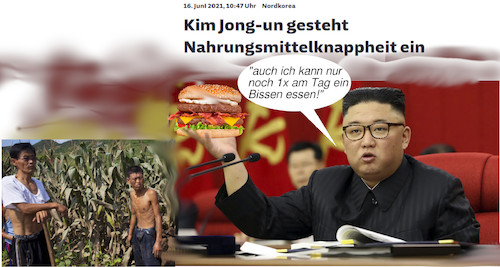 Cartoon: diät (medium) by ab tagged nord,korea,kim,jong,nahrung,essen,hunger