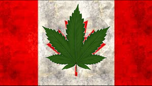 Cartoon: kanada (medium) by ab tagged canada,legalize
