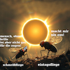 Cartoon: eclipse (small) by ab tagged sonne,mond,eclipse,finsterniss,insekten,augen,brille,sofi,tag,nacht,leben