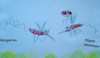 Cartoon: insektensommer (small) by ab tagged mosquito,insekten,blut,bier,drogen
