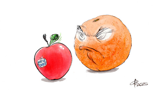 And the winner is...