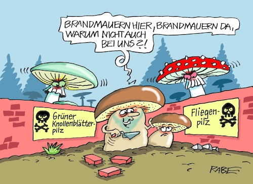 Cartoon: Pilzzeit (medium) by RABE tagged landtagswahl,thüringen,septemper,cdu,afd,mario,voigt,bernd,höcke,tv,duell,fernsehduell,rabe,ralf,böhme,cartoon,karikatur,pressezeichnung,farbcartoon,tagescartoon,sachsen,wechselwähler,ampel,ampelregierung,brandmauer,linke,wagenknecht,ramelow,pilz,pilzeit,mauer,steinpilz,fliegenpilz,knollenblätterpilz,landtagswahl,thüringen,septemper,cdu,afd,mario,voigt,bernd,höcke,tv,duell,fernsehduell,rabe,ralf,böhme,cartoon,karikatur,pressezeichnung,farbcartoon,tagescartoon,sachsen,wechselwähler,ampel,ampelregierung,brandmauer,linke,wagenknecht,ramelow,pilz,pilzeit,mauer,steinpilz,fliegenpilz,knollenblätterpilz