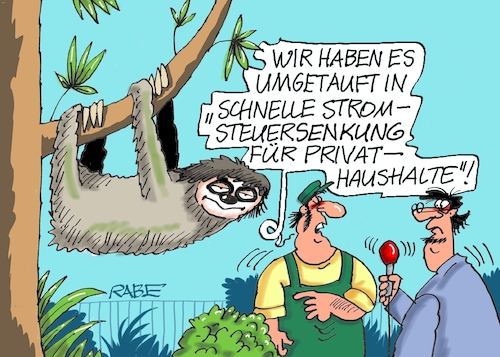 Stromsteuersenkung Stromsteuersenkung