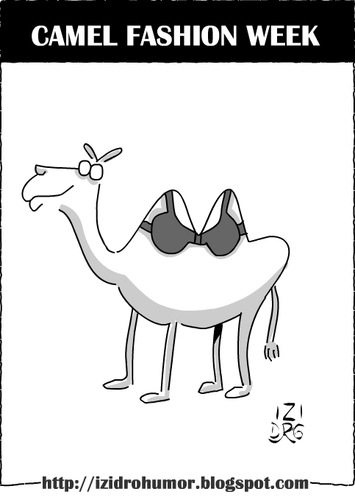 Cartoon: CAMEL FASHION (medium) by izidro tagged camel