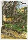 Cartoon: bosque andino-patagonico (small) by DANIEL EDUARDO VARELA tagged bosque