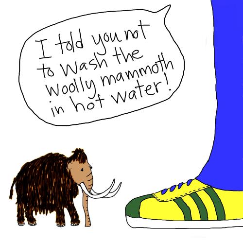 Cartoon: woolly (medium) by mfarmand tagged woolly,mammoth,shrinkage