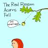 Cartoon: angry acorn (small) by mfarmand tagged acorn,tree,fall