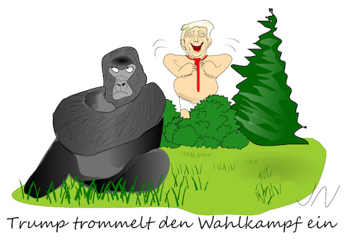 Cartoon: Trump (medium) by Jochen N tagged gorilla,affe,wahlkampf,krawatte,brust,trommel,wiese,schuld,wiederwahl,usa,präsident,weißes,haus,corona,pandemie