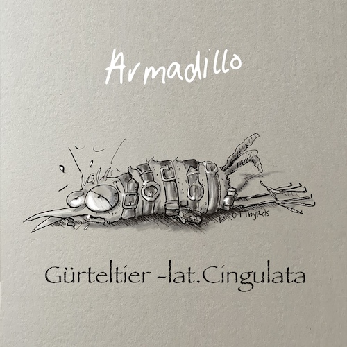 Cartoon: Das Gürteltier (medium) by OTTbyrds tagged gürteltier,armadillo,cingulata,festgschnallt,festgefahren,schnalle,zwickmühle,zwang,zwanghaft,erdrückend,zugeschnürt,lacedup,stuck,belt,stappeddown,gepresst,pressed,tierarten,animal,species,depressed,gefesselt,tiedup,gürteltier,armadillo,cingulata,festgschnallt,festgefahren,schnalle,zwickmühle,zwang,zwanghaft,erdrückend,zugeschnürt,lacedup,stuck,belt,stappeddown,gepresst,pressed,tierarten,animal,species,depressed,gefesselt,tiedup