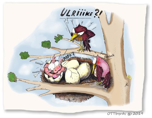 Cartoon: SchweinerEI (medium) by OTTbyrds tagged kuckuckskinder,kuckucksei,fremdgehen,nachwuchs,cuckoochildrens,ottbyrds