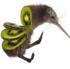 Cartoon: kiwi (medium) by kiwi tagged kiwi