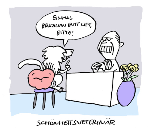 Cartoon: Lift (medium) by Bregenwurst tagged schönheitschirurgie,pavian,brazilian,butt,lift