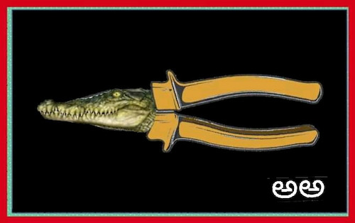 Cartoon: Crocodile Nose Plier (medium) by APPARAO ANUPOJU tagged crocodile,nose,plier