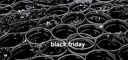 Cartoon: black friday (medium) by oliviaoil tagged black,friday