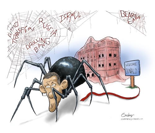 Cartoon: US Presidential Transition (medium) by Goodwyn tagged obama,trump,spider,web,white,house