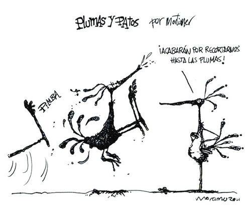 Cartoon: Plumas y pajaros 2 (medium) by mortimer tagged mortimer,mortimeriadas,cartoon,comic,birds