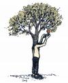 Cartoon: appletreeman (small) by mortimer tagged mortimer treebeing trees nature