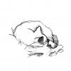 Cartoon: Sketching gaston (small) by mortimer tagged mortimer mortimeriadas sketch cats gatos gaston chartreux pencil