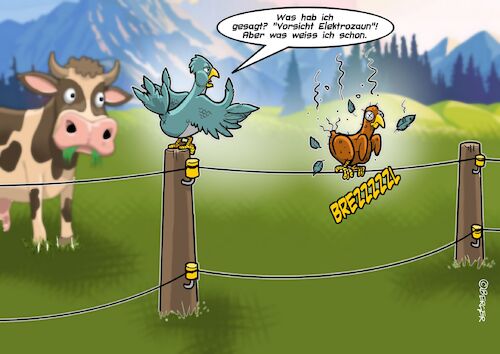 Cartoon: Electric fence (medium) by Chris Berger tagged elektrischer,zaun,brathähnchen,vogel,weide,natur,grill,elektrischer,zaun,brathähnchen,vogel,weide,natur,grill