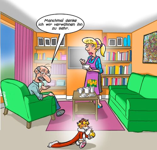 Kater Kater