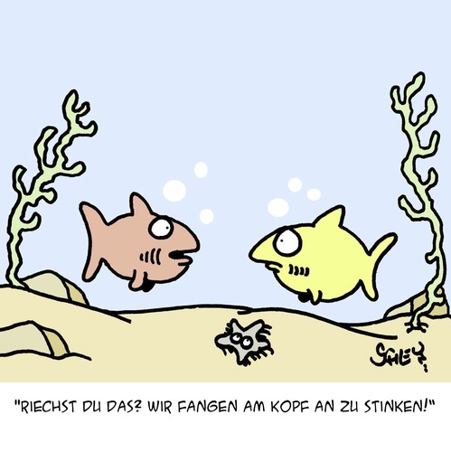 Cartoon: Es STINKT! (medium) by Karsten Schley tagged tiere,natur,wasser,seen,ozeane,fische,biologie,umwelt,tiere,natur,wasser,seen,ozeane,fische,biologie,umwelt