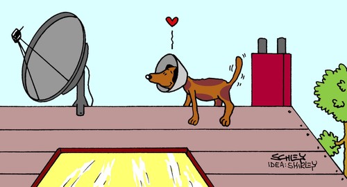 Cartoon: Love (medium) by Karsten Schley tagged tiere,hunde,technik,fernsehen,satelitenfernsehen,liebe,tiere,hunde,technik,fernsehen,satelitenfernsehen,liebe,satelitenschüssel