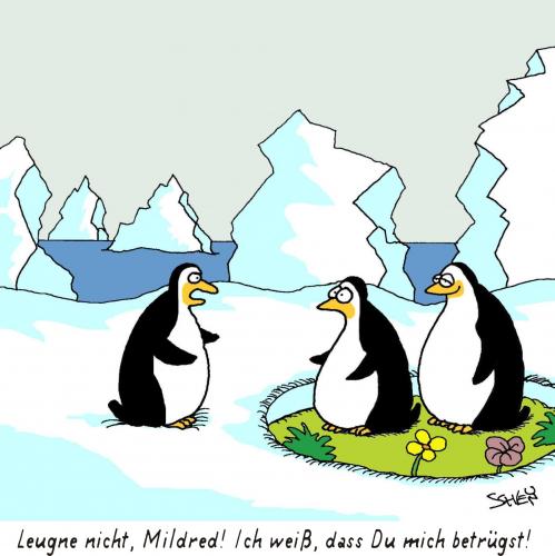 Cartoon: Pinguine (medium) by Karsten Schley tagged natur,tiere,liebe